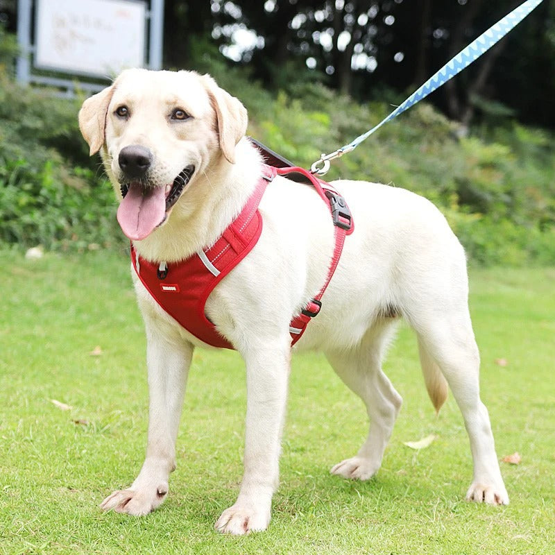EasyWalk Dog Harness UK β No Pull, Safe & Comfortable