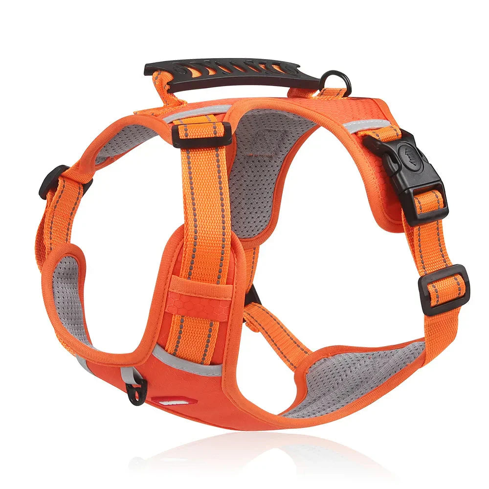 EasyWalk Dog Harness UK β No Pull, Safe & Comfortable
