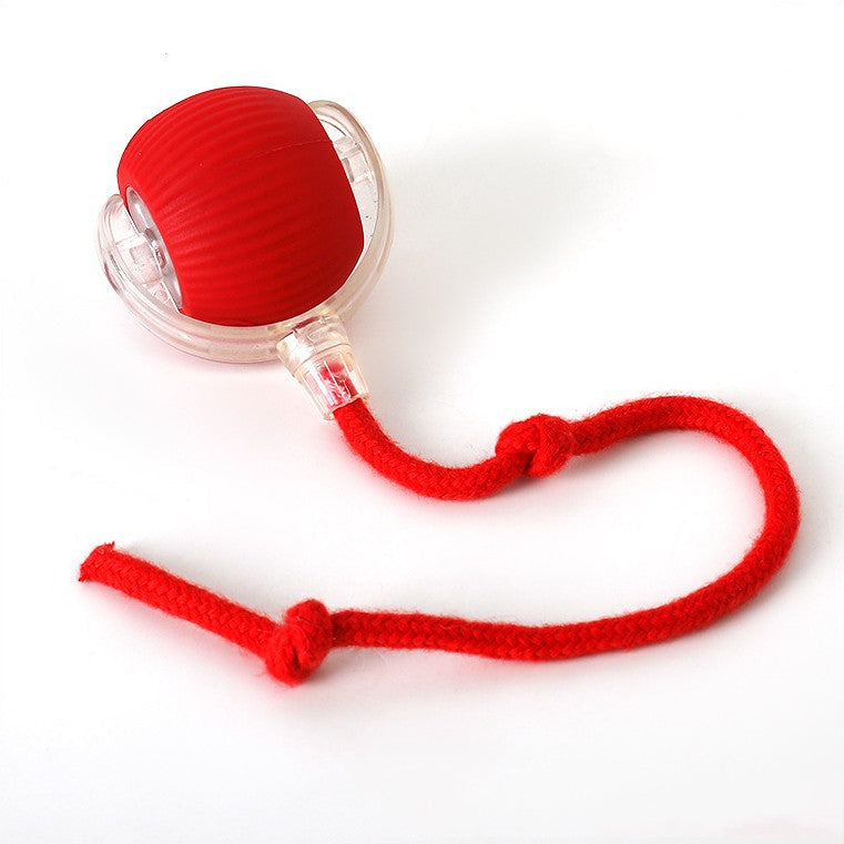 Interactive Dog Ball – Fun, Fitness & Stress Relief