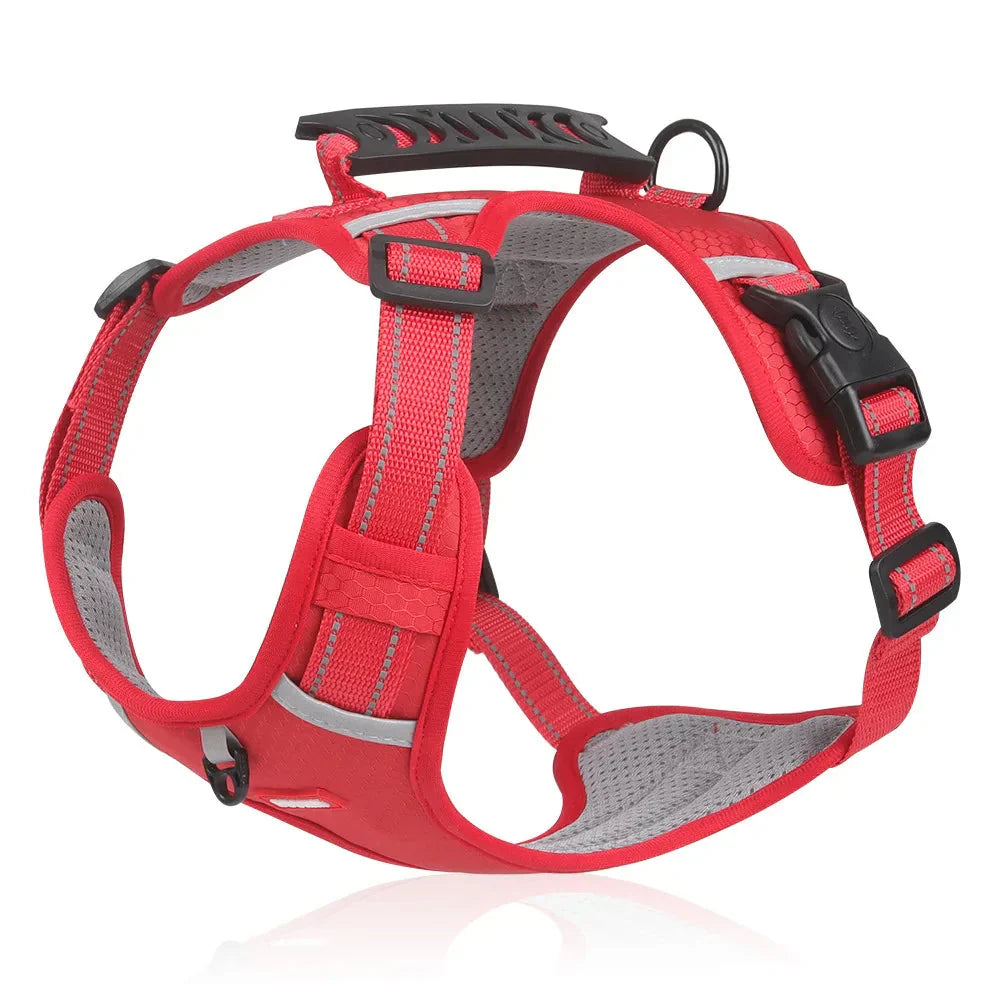 EasyWalk Dog Harness UK β No Pull, Safe & Comfortable