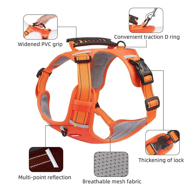 EasyWalk Dog Harness UK β No Pull, Safe & Comfortable