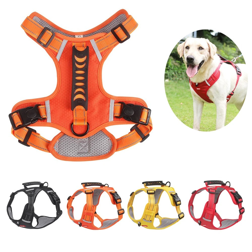 EasyWalk Dog Harness UK β No Pull, Safe & Comfortable