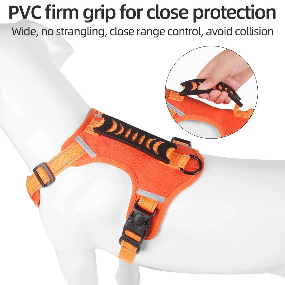 EasyWalk Dog Harness UK β No Pull, Safe & Comfortable