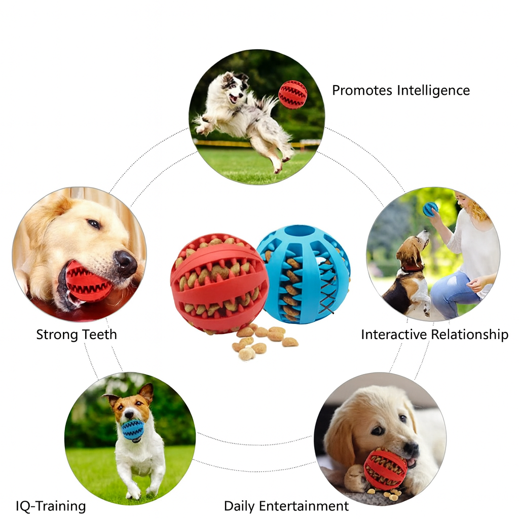 Dog Chew Ball with Treat Dispenser – Dental & Play Toy