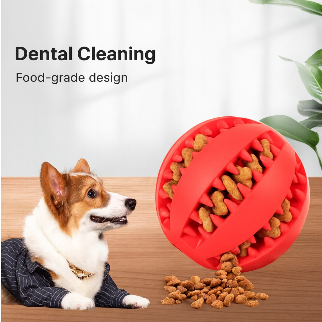 Dog Chew Ball with Treat Dispenser – Dental & Play Toy