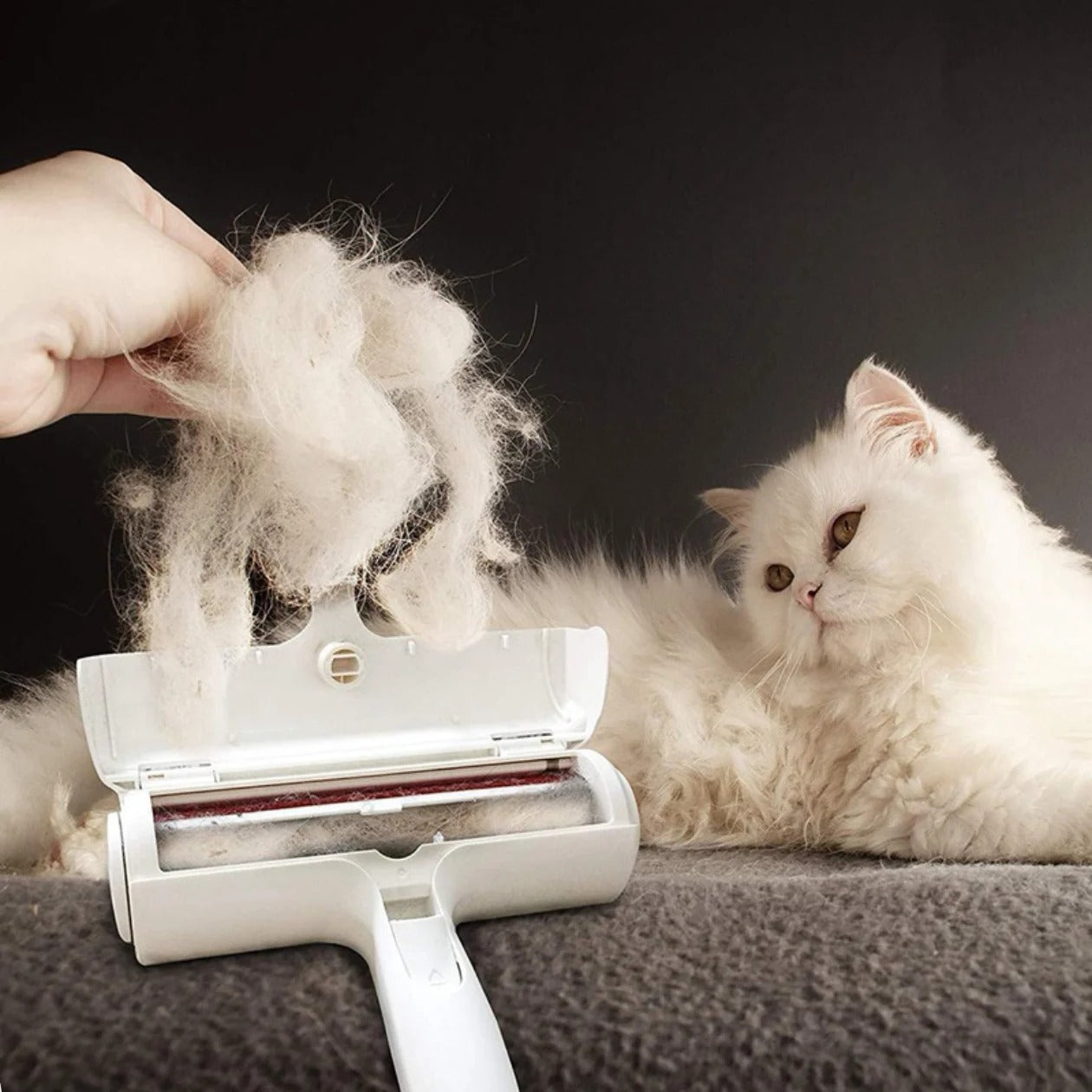 Reusable Pet Hair Remover Brush – Self-Cleaning