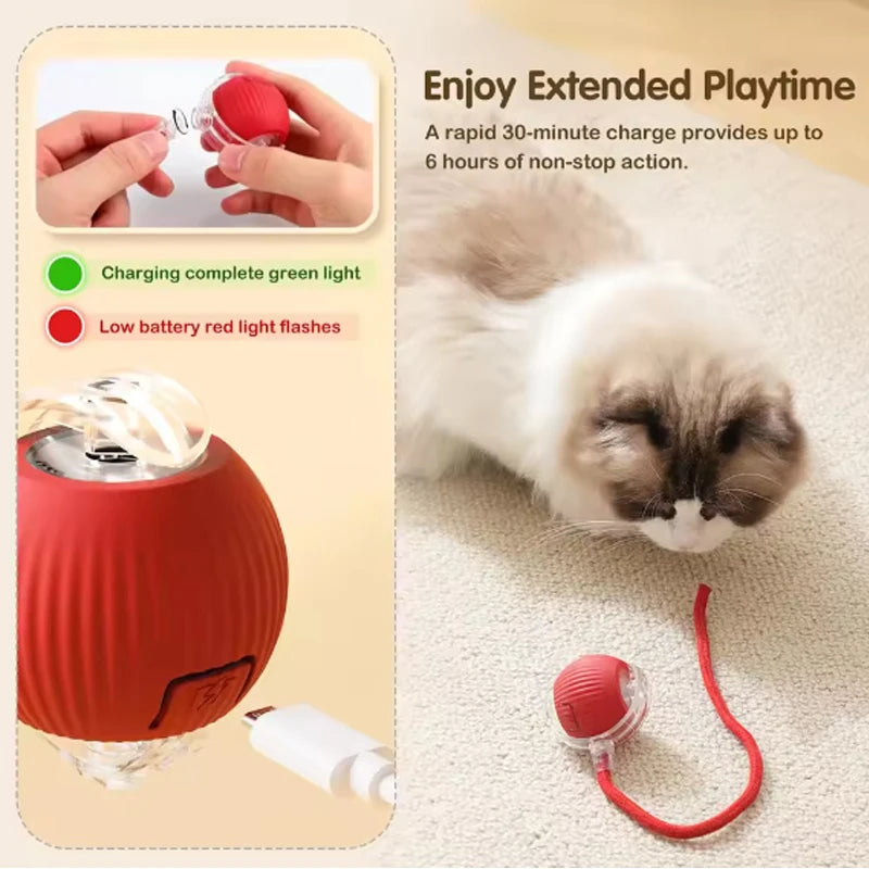 Interactive Cat Toy Ball with Tail – Endless Fun for Indoor Cats
