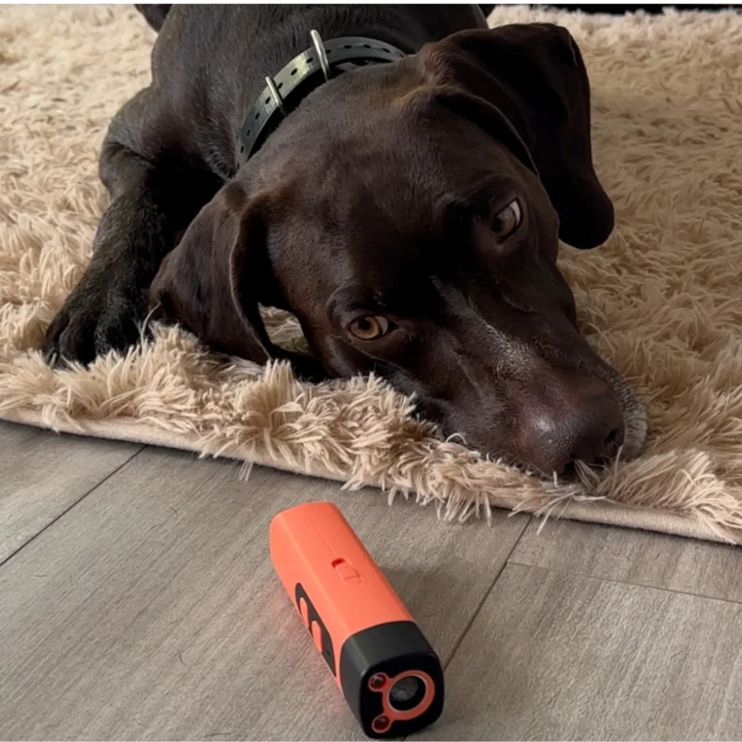 Ultrasonic Dog Trainer – Gentle Anti-Bark Device for Walks & Training