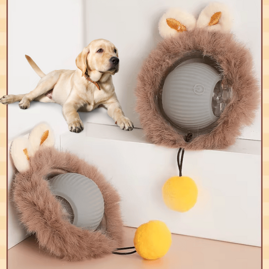 Interactive Dog Ball β Fun & Fitness for Active Pups