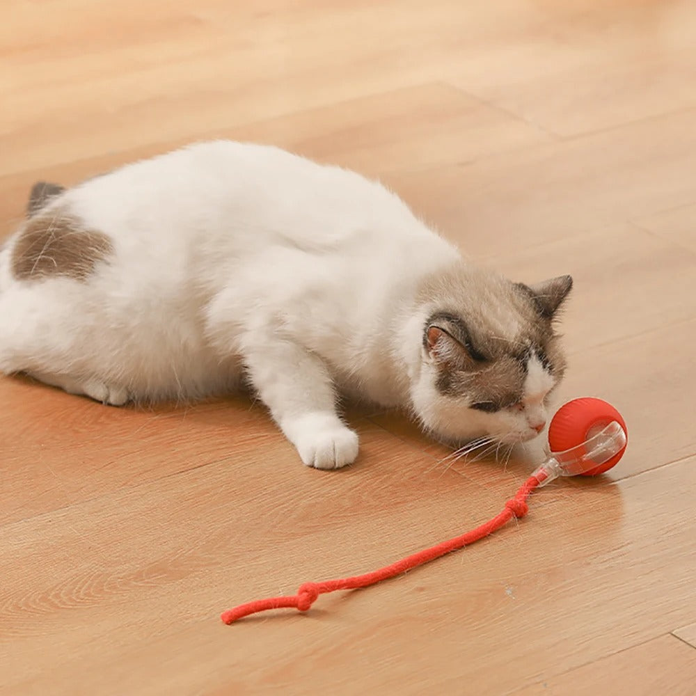 Interactive Cat Toy Ball with Tail – Endless Fun for Indoor Cats