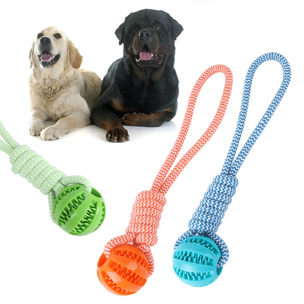 Dog Chew Ball with Treat Dispenser – Dental & Play Toy