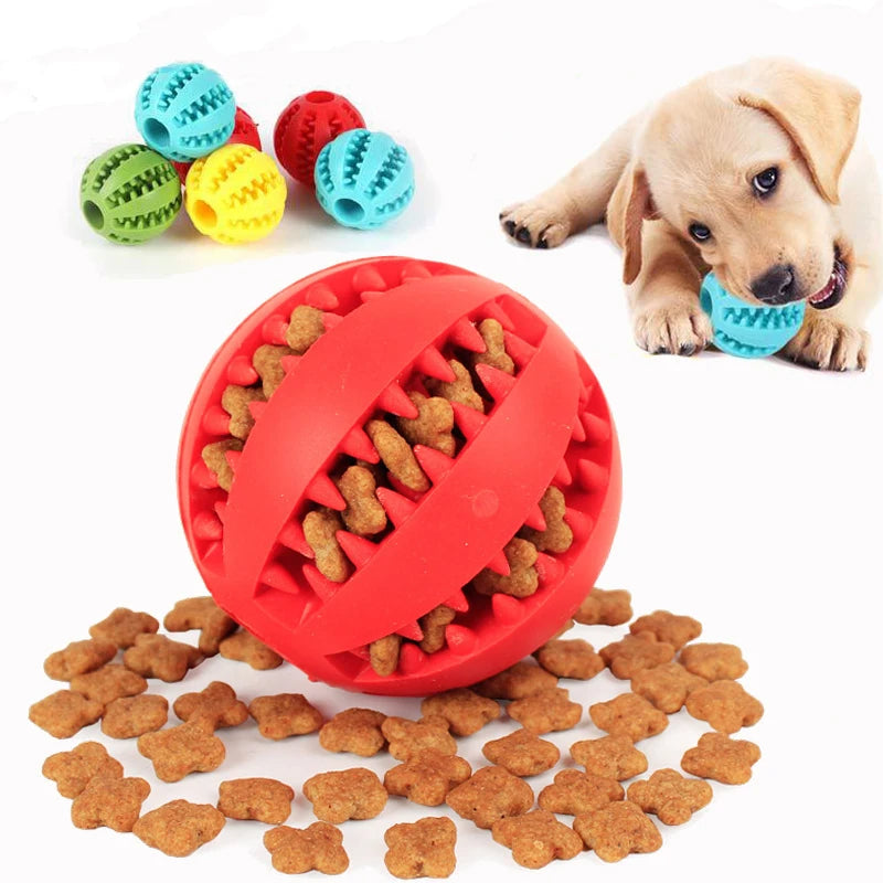 Dog Chew Ball with Treat Dispenser – Dental & Play Toy