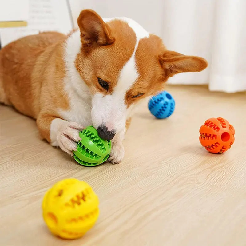 Dog Chew Ball with Treat Dispenser – Dental & Play Toy