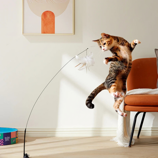 Interactive Cat Toy – Feather Bird Wand for Hunting Fun
