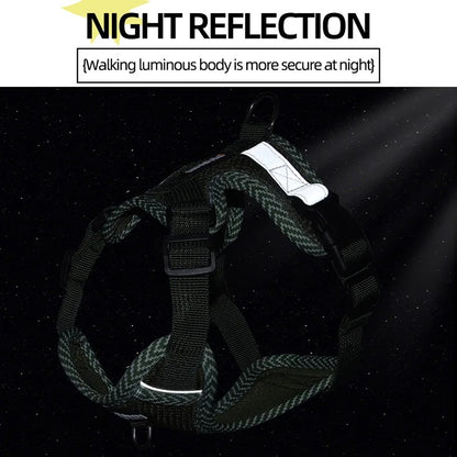 Reflective Dog Harness with Lead – Small Breeds