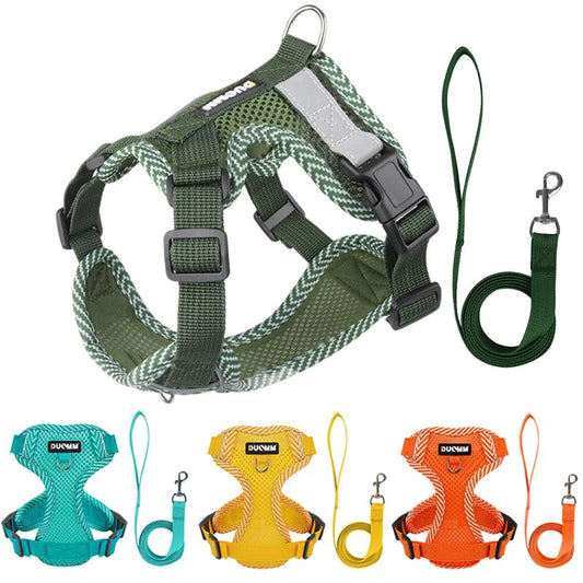 Reflective Dog Harness with Lead – Small Breeds