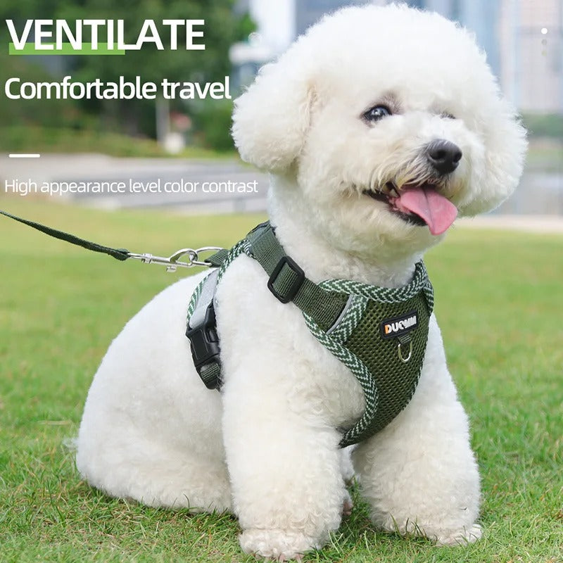 Reflective Dog Harness with Lead – Small Breeds