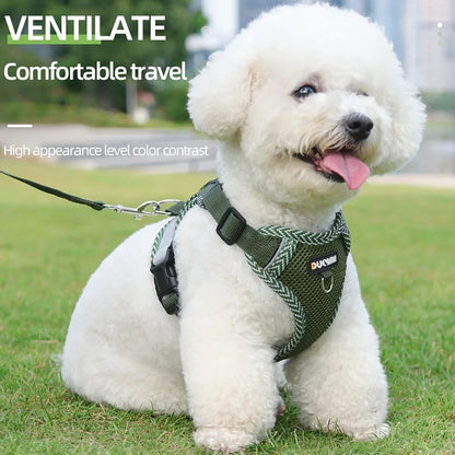 Reflective Dog Harness with Lead – Small Breeds