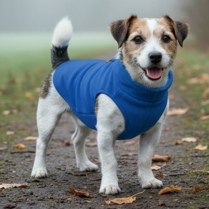 All-Season Dog Jacket – Lightweight, Warm & Weather-Resistant