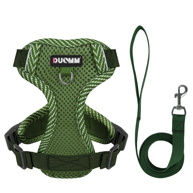 Reflective Dog Harness with Lead – Small Breeds