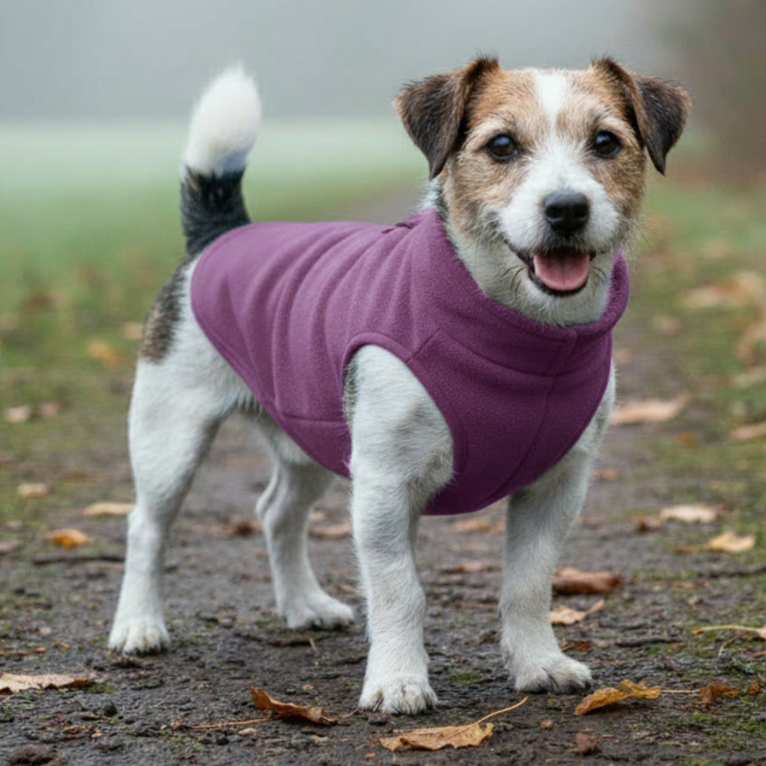 All-Season Dog Jacket – Lightweight, Warm & Weather-Resistant