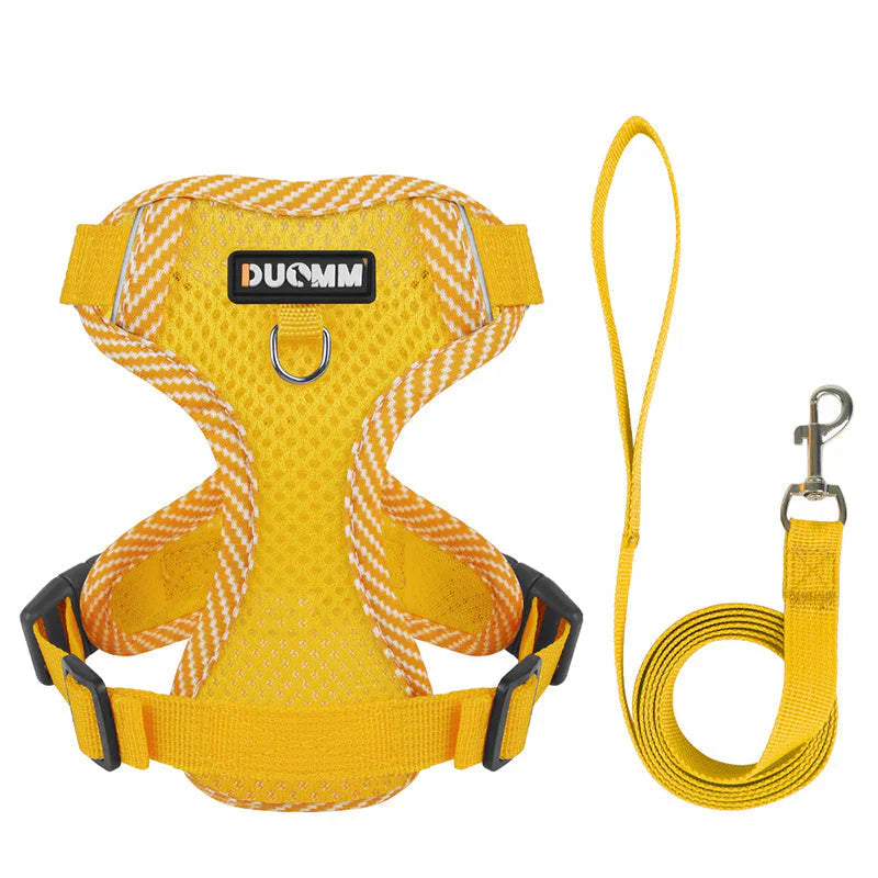 Reflective Dog Harness with Lead – Small Breeds