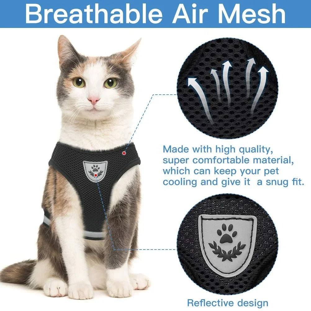 SecurePaws™ Escape-Proof Cat Harness & Leash Set