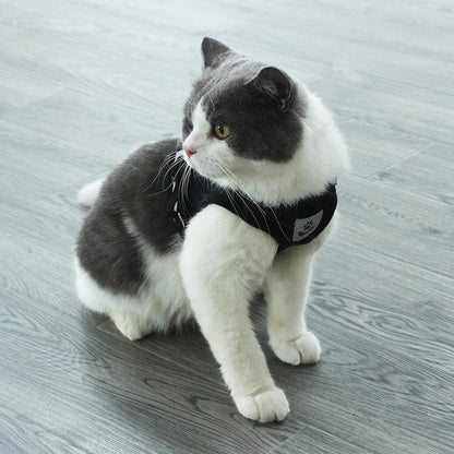 SoftHug™ Comfort Cat Harness & Leash – UK