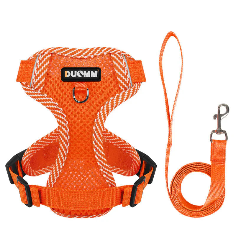Reflective Dog Harness with Lead – Small Breeds