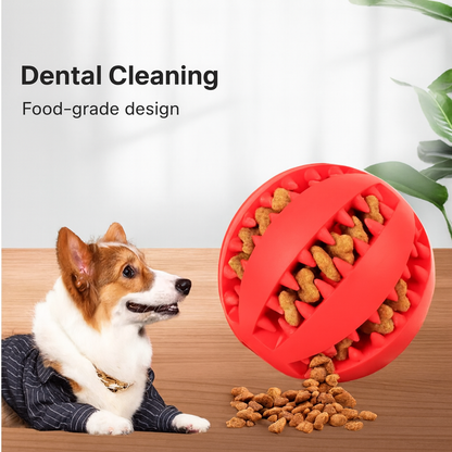Dog Chew Ball with Treat Dispenser – Dental & Play Toy