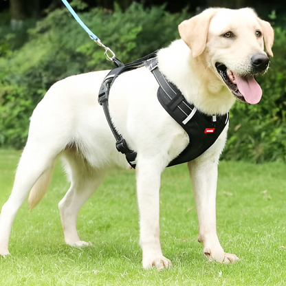 EasyWalk Dog Harness UK – No Pull, Safe & Comfortable