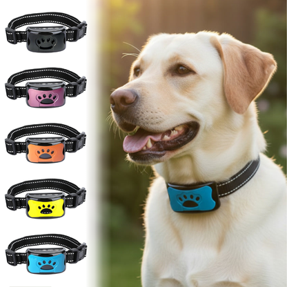 Focus Support Dog Collar – Gentle Vibration & Sound