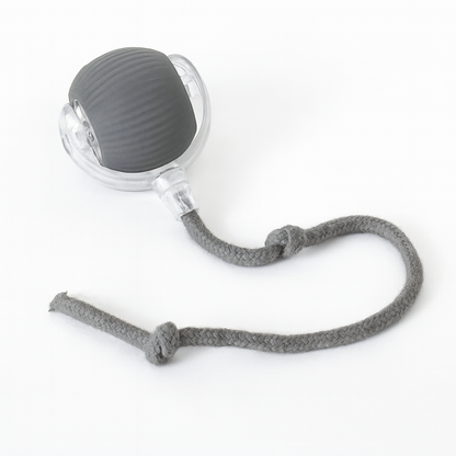 Interactive Cat Toy Ball with Tail – Endless Fun for Indoor Cats