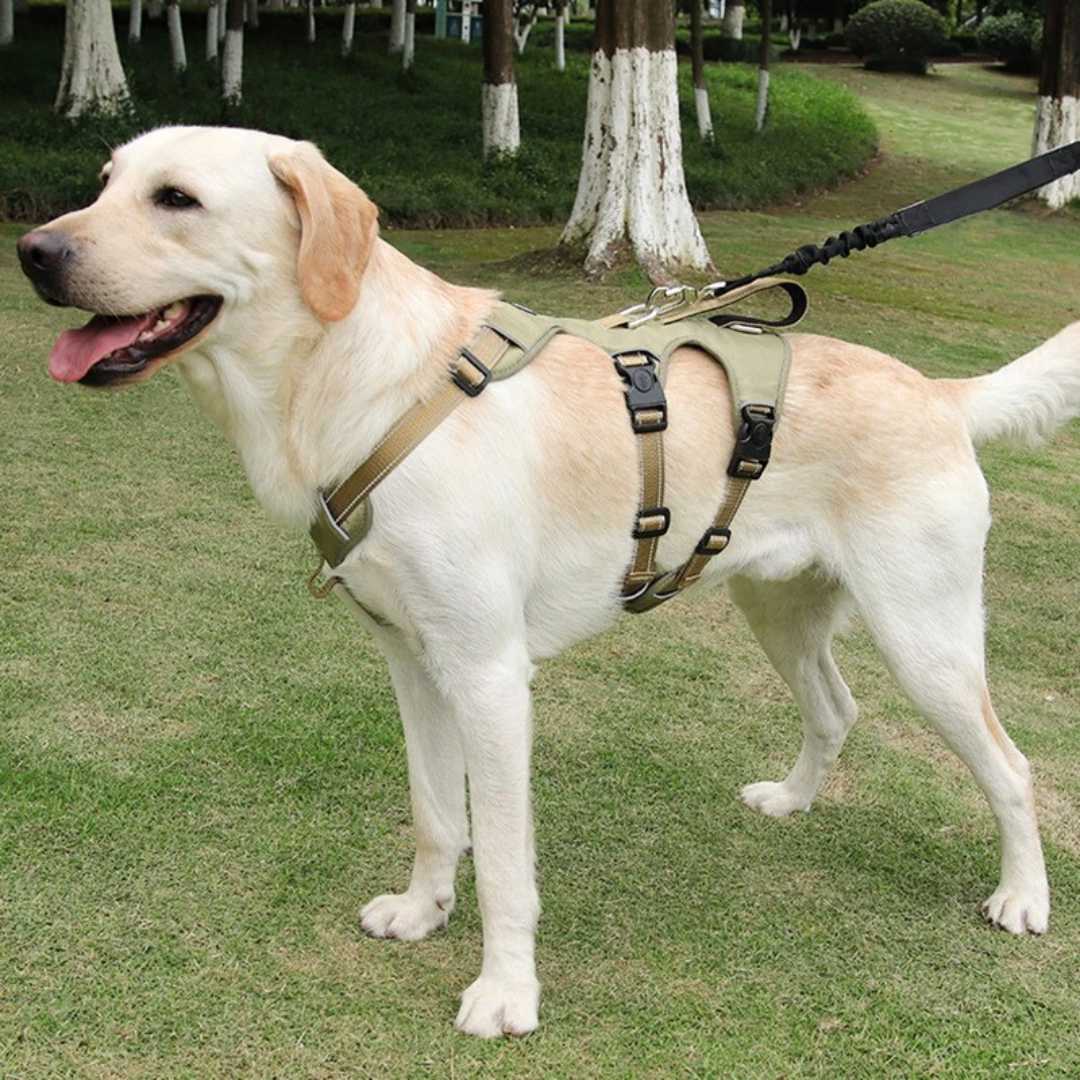 No-Pull Dog Harness – Escape-Proof & Reflective