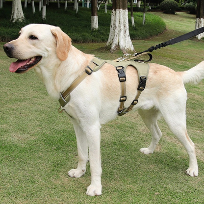 No-Pull Dog Harness – Escape-Proof & Reflective
