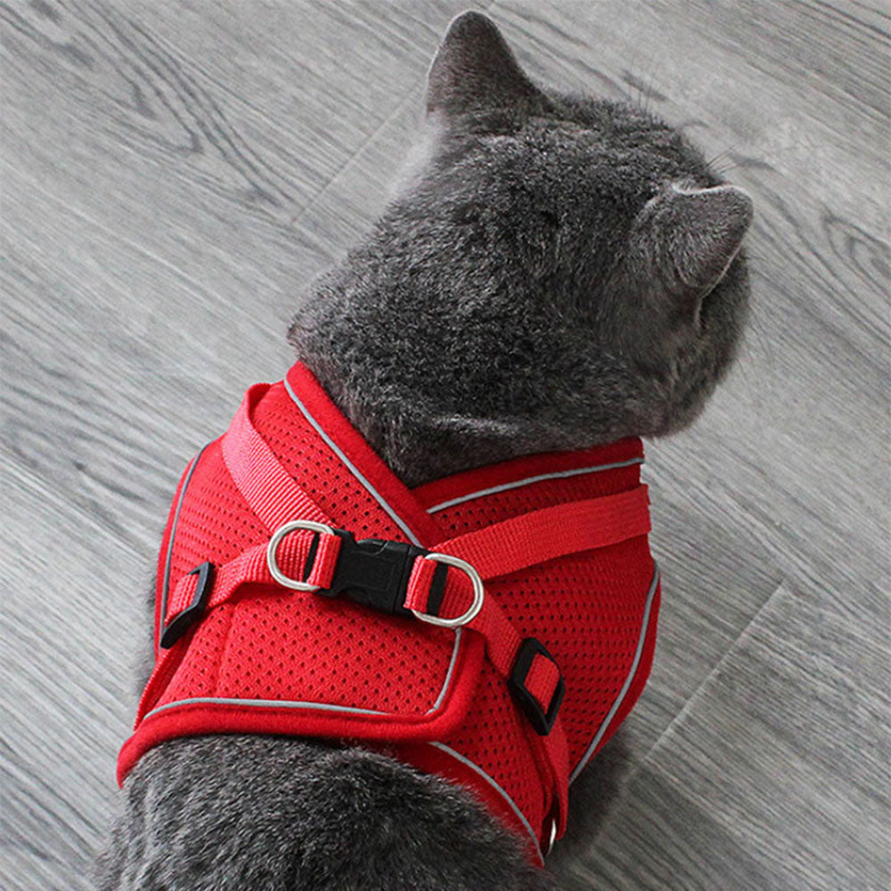 SoftHug™ Comfort Cat Harness & Leash – UK