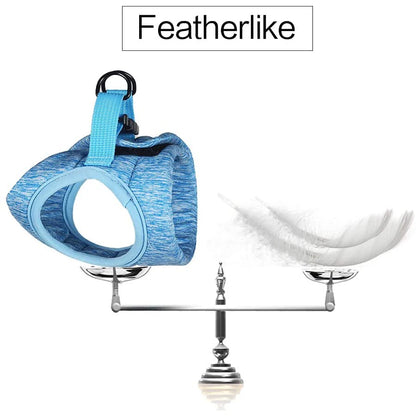 Cat Harness with Leash – Escape-Proof & Comfortable