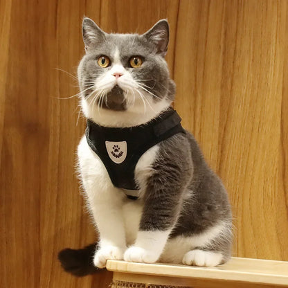 Cat Harness with Leash – Ergonomic, Breathable & Escape-Resistant
