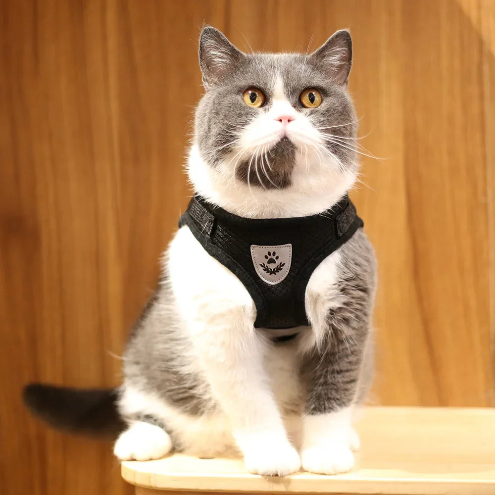 Cat Harness with Leash – Ergonomic, Breathable & Escape-Resistant