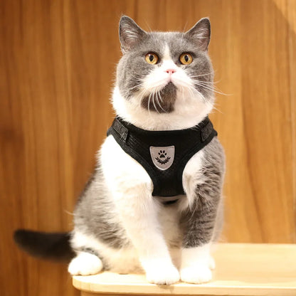 SecurePaws™ Escape-Proof Cat Harness & Leash Set