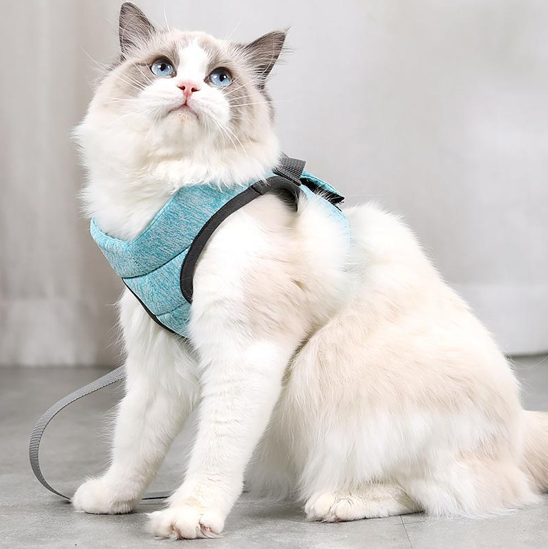 Cat Harness with Leash – Escape-Proof & Comfortable