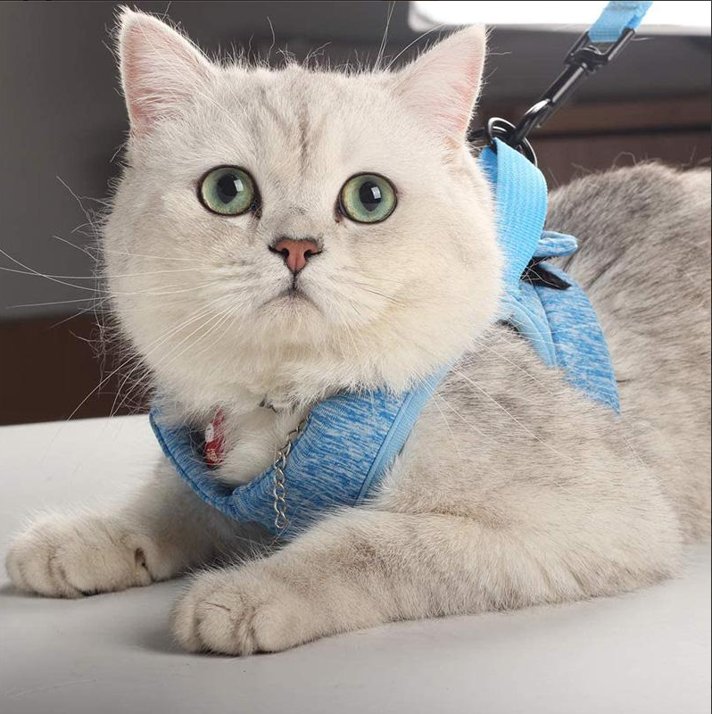 Cat Harness with Leash – Escape-Proof & Comfortable