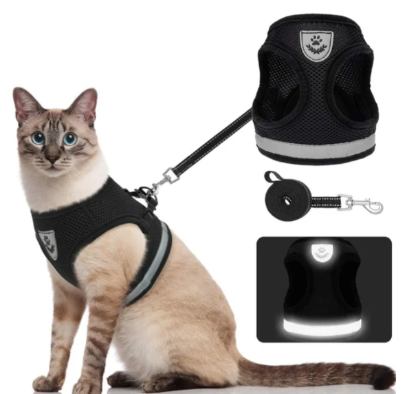 Cat Harness with Leash – Ergonomic, Breathable & Escape-Resistant
