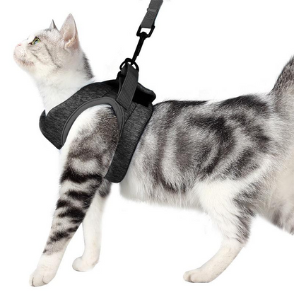 Cat Harness with Leash – Escape-Proof & Comfortable