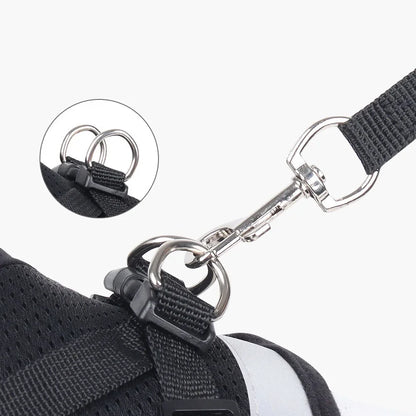 SecurePaws™ Escape-Proof Cat Harness & Leash Set