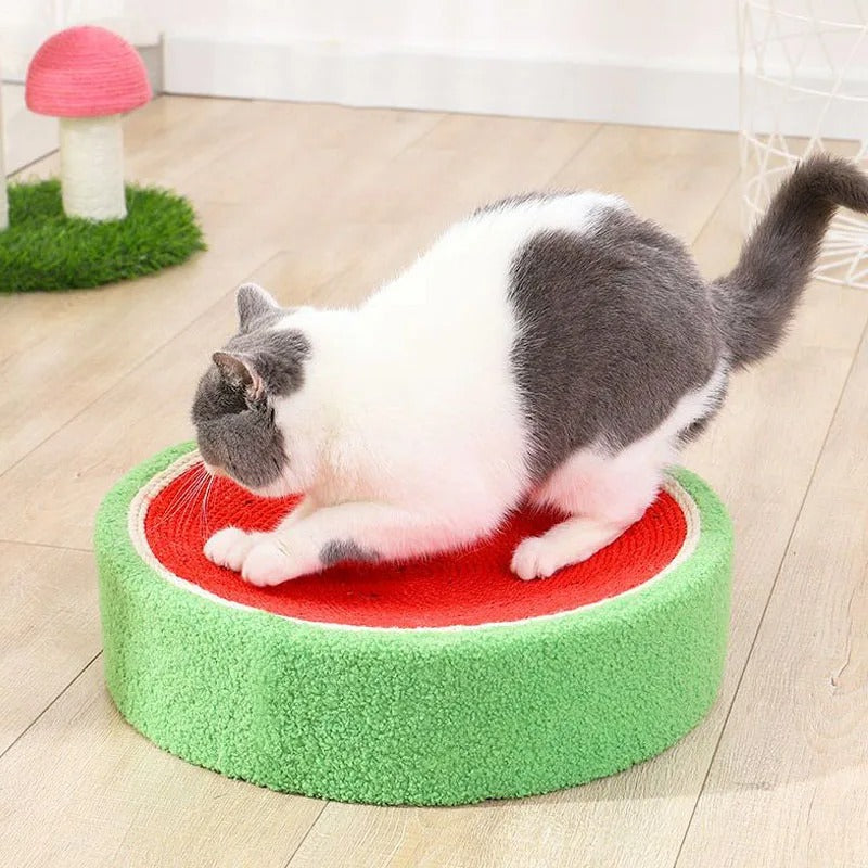 Sisal Cat Scratch Bed – Protect Your Furniture & Pamper Your Cat