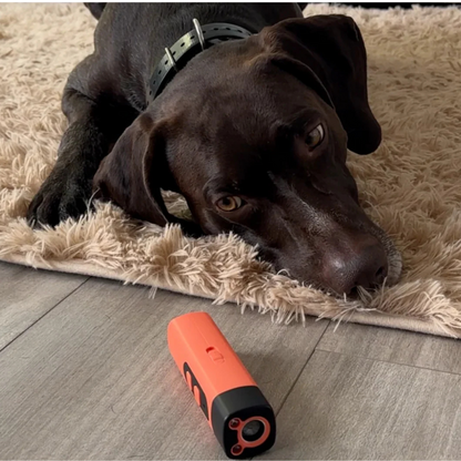 Ultrasonic Dog Trainer – Gentle Anti-Bark Device for Walks & Training