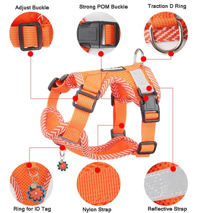 Reflective Dog Harness with Lead – Small Breeds