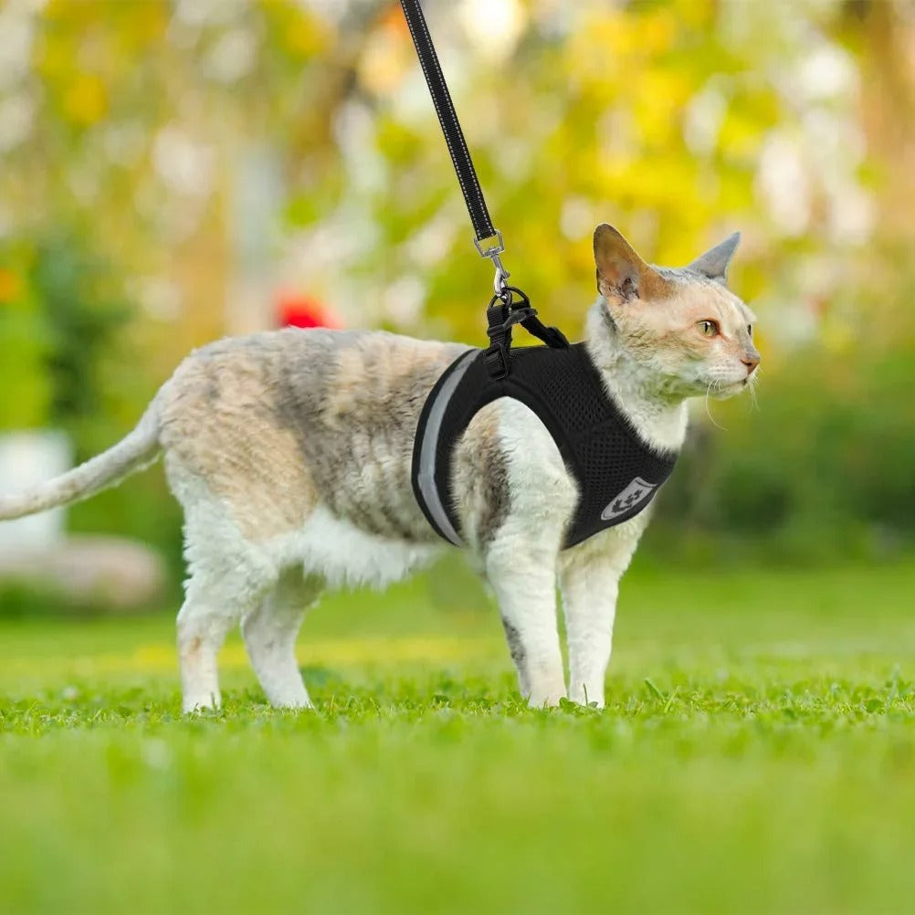 SecurePaws™ Escape-Proof Cat Harness & Leash Set