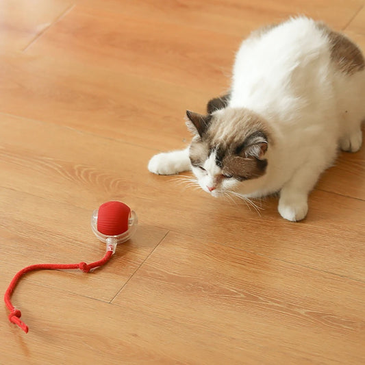 Interactive Cat Toy Ball with Tail – Endless Fun for Indoor Cats